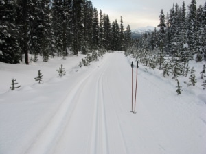 Perfectly groomed trail | Tweedsmuir Ski Club